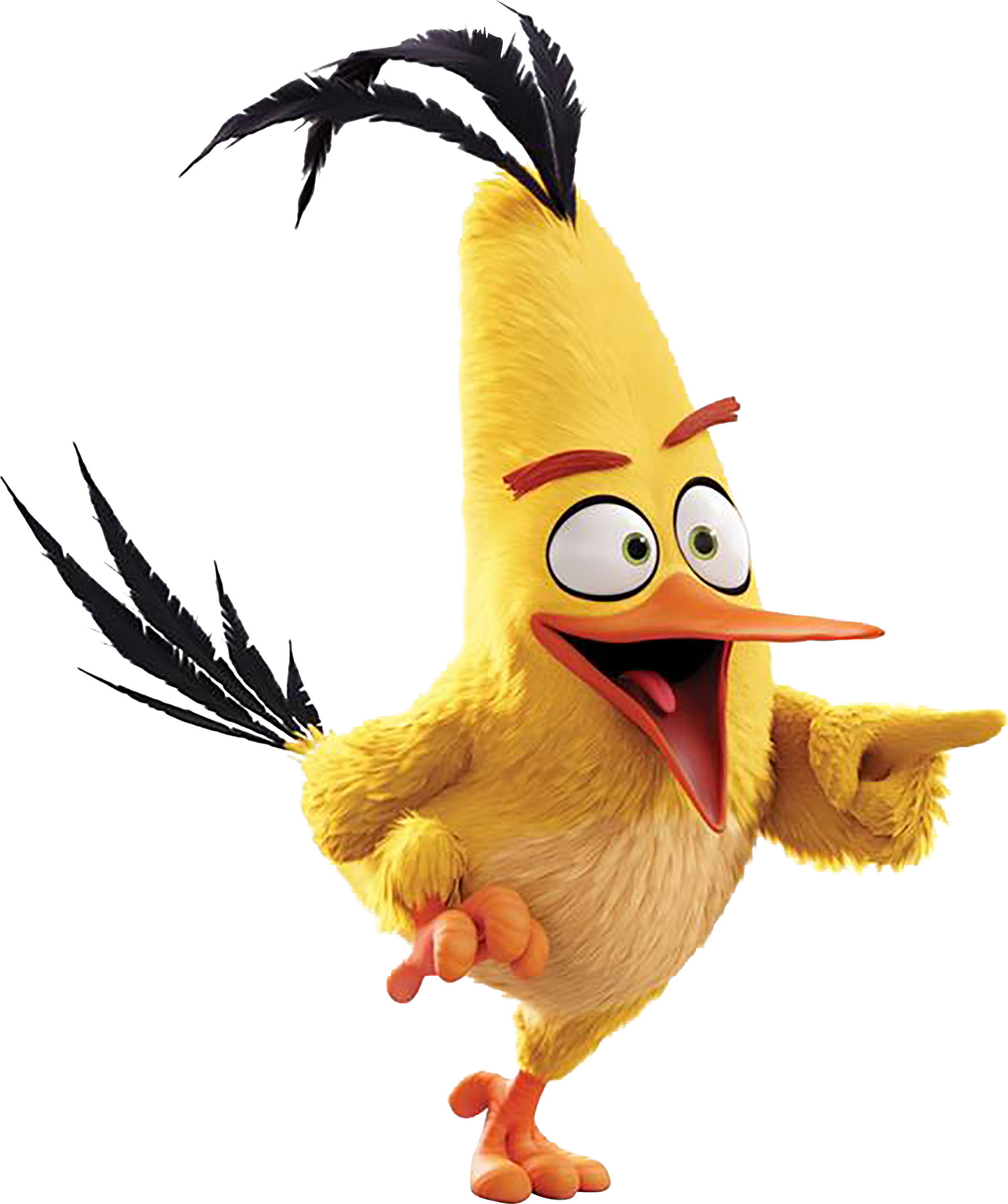 Angry Birds PNG File
