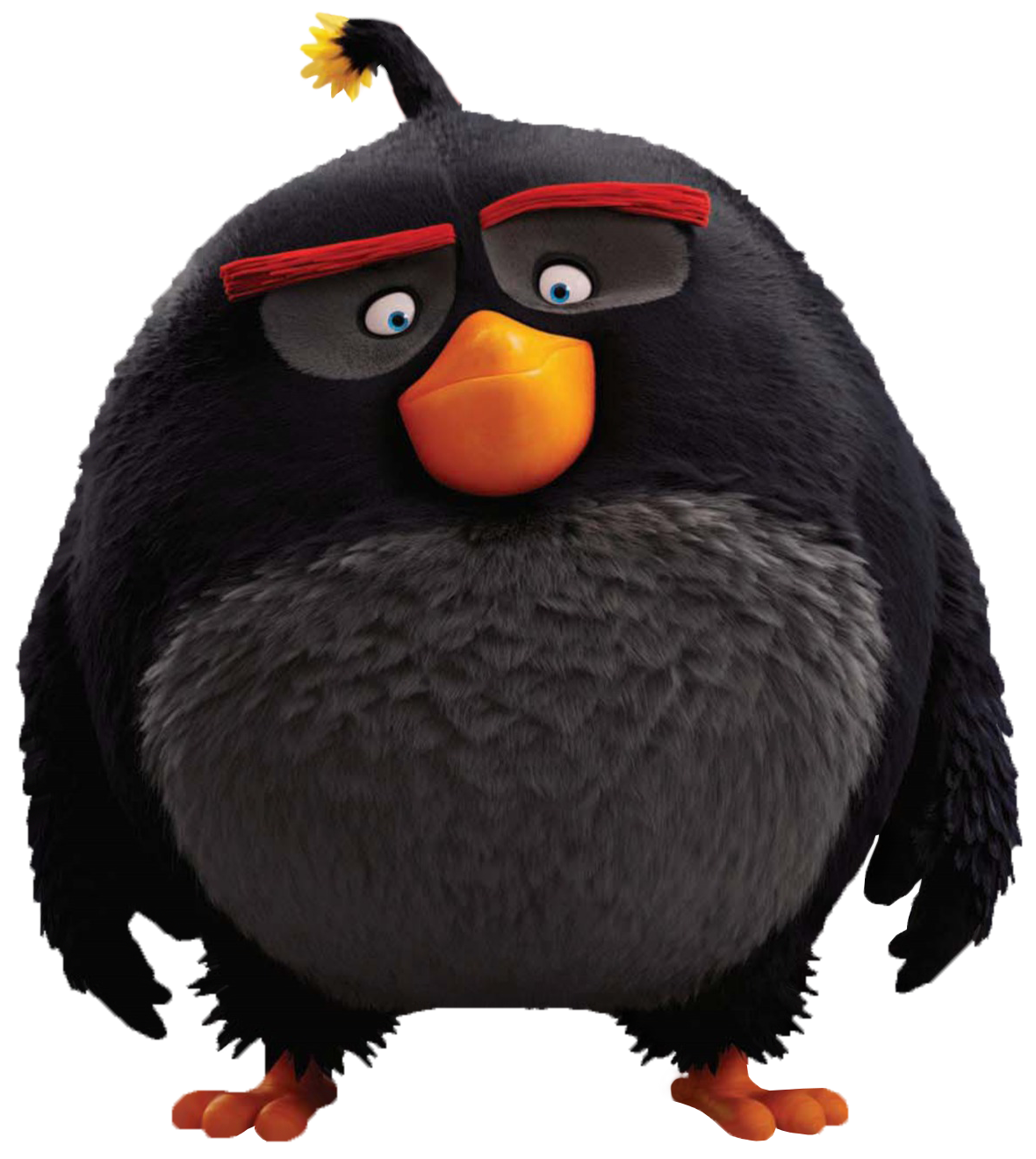 Angry Birds PNG Transparent