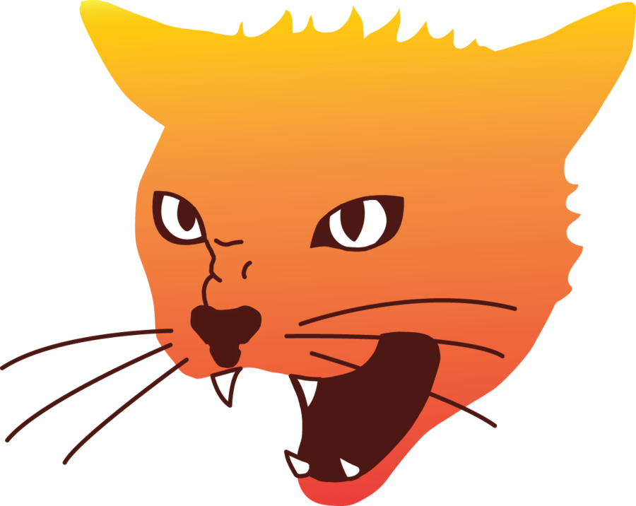 Angry Cat PNG File