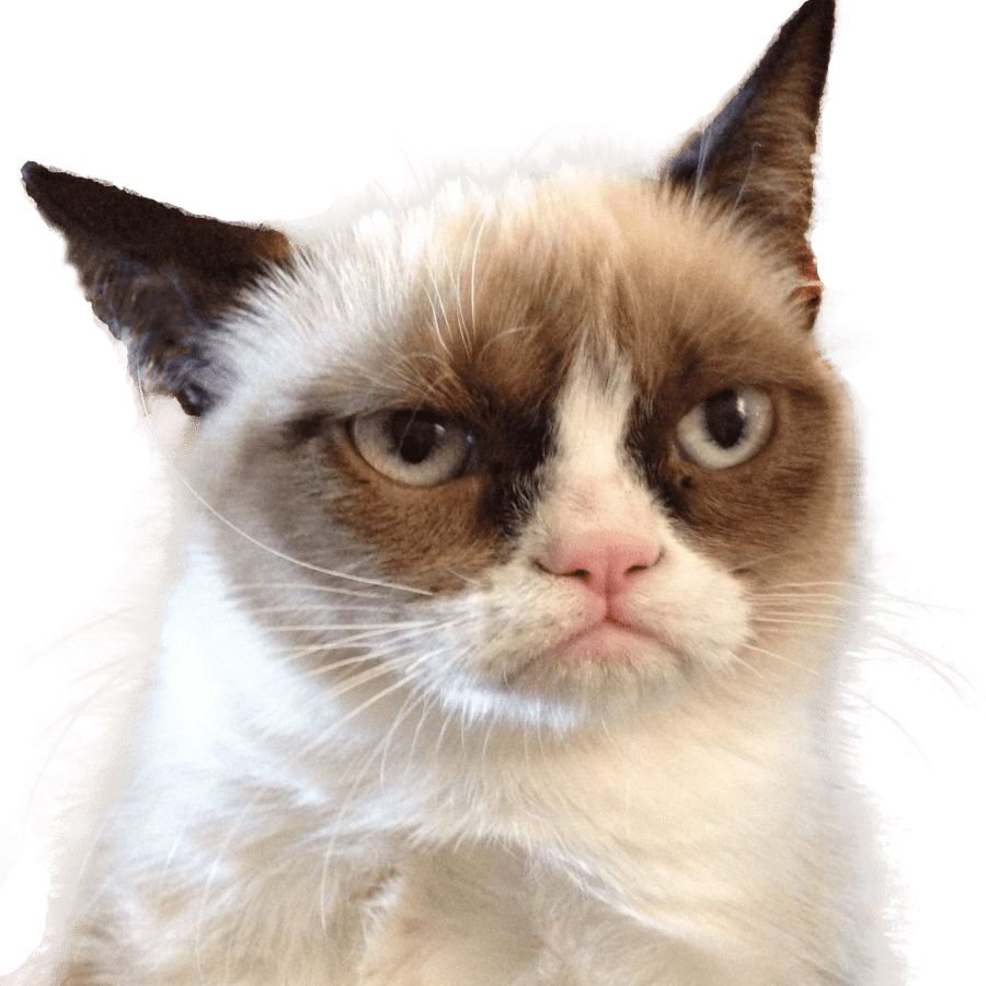 Angry Cat PNG HD Isolated