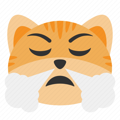 Angry Cat PNG Transparent