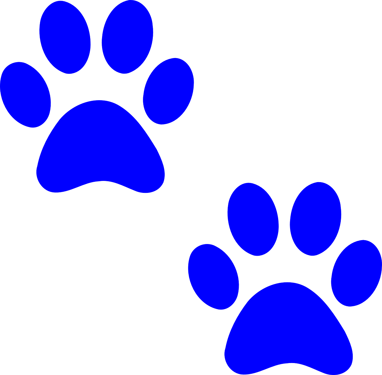 Animal Footprints Download PNG Image