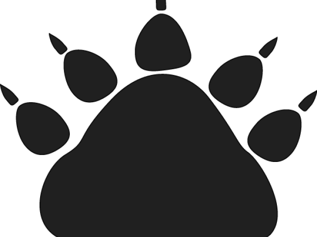 Animal Footprints PNG Clipart