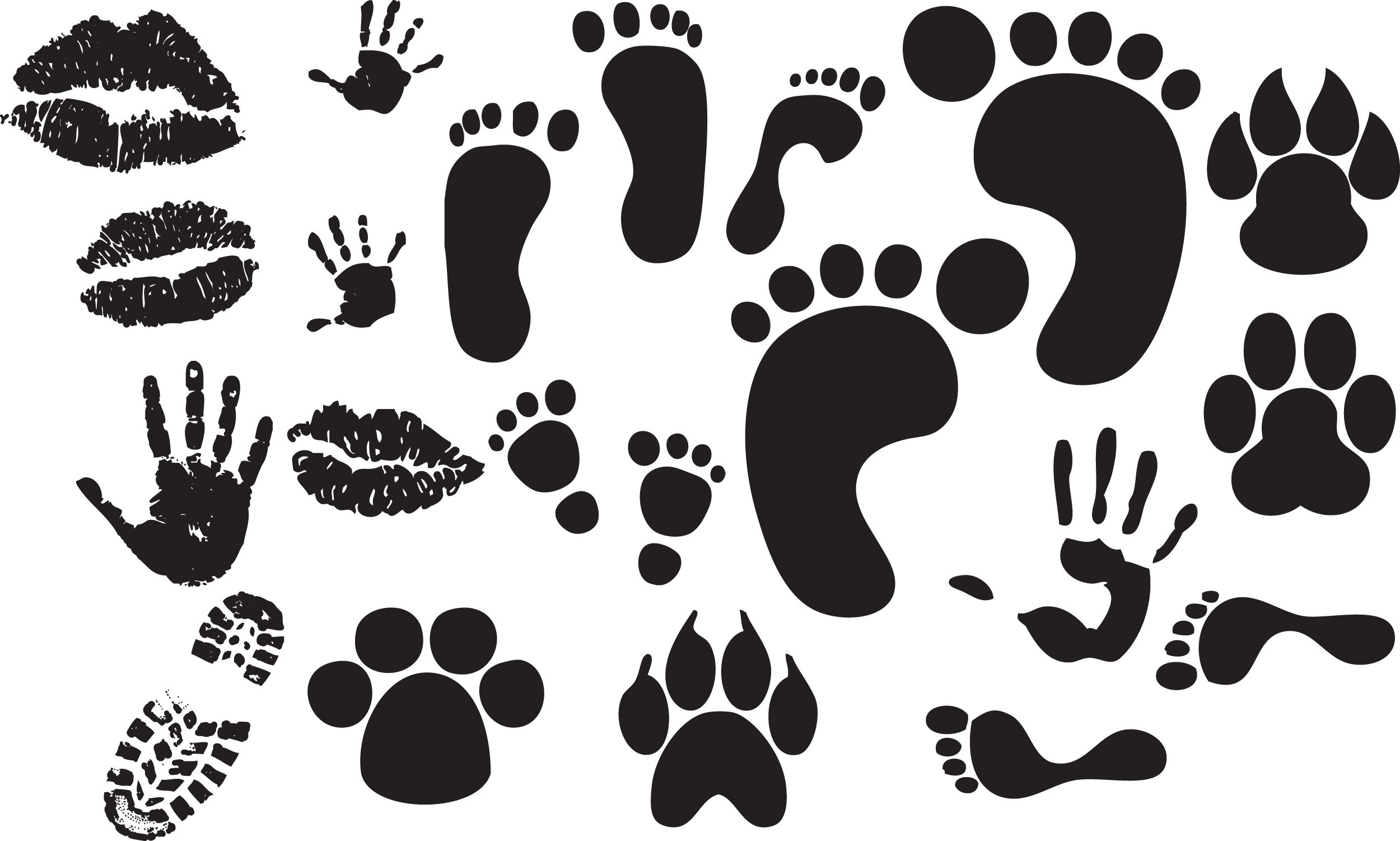 Animal Footprints PNG Isolated Photo