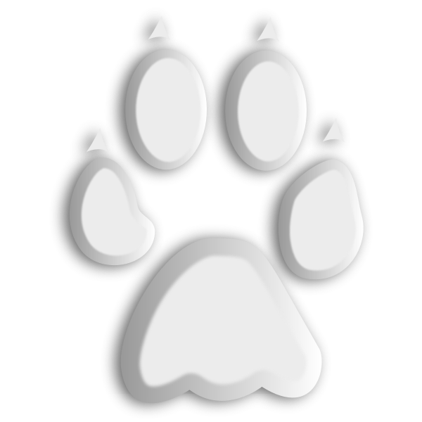 Animal Footprints PNG Isolated Photos