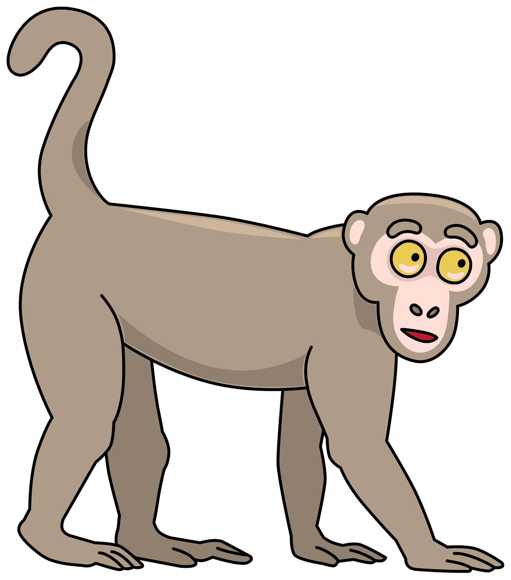 Animal Monkey PNG Free Download
