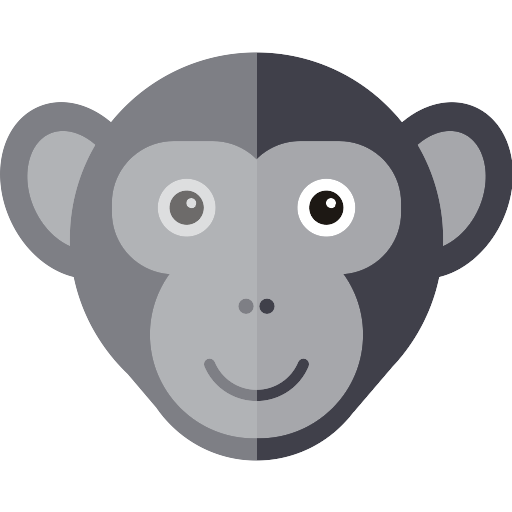 Animal Monkey PNG Isolated HD
