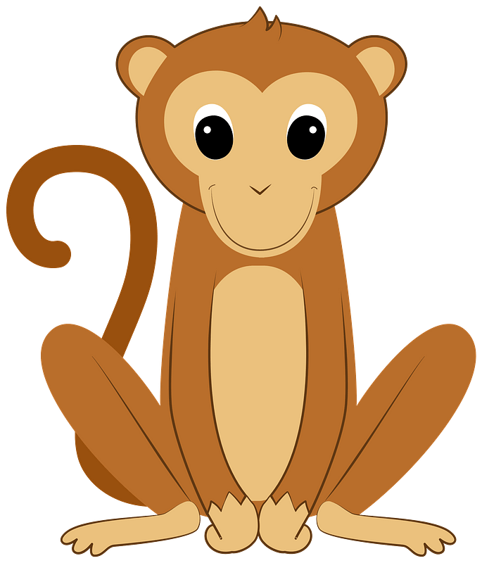 Animal Monkey PNG Isolated Image | PNG Mart
