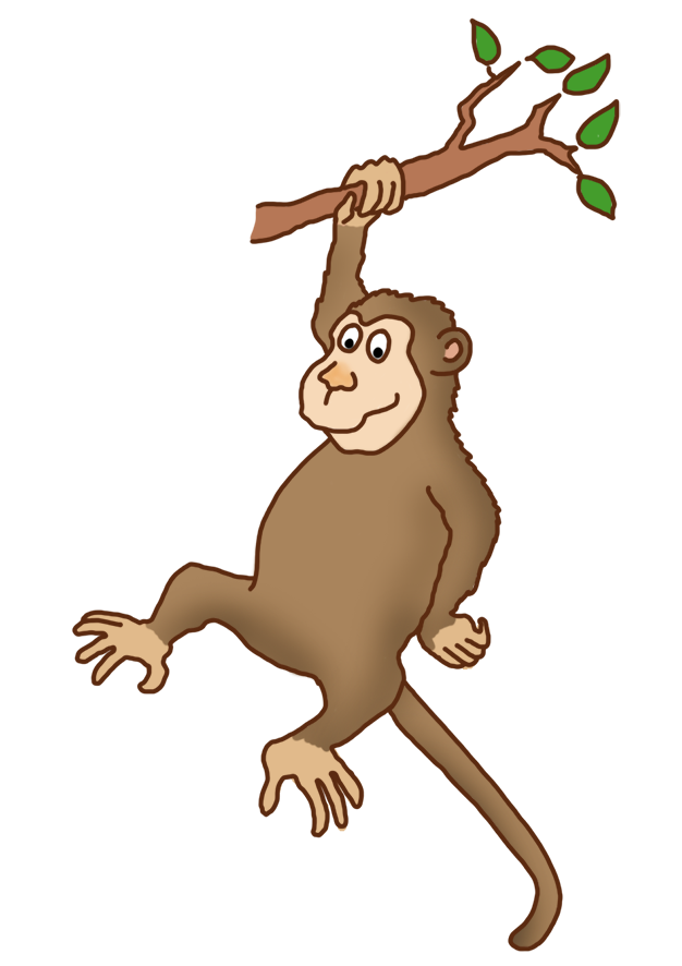 Animal Monkey PNG