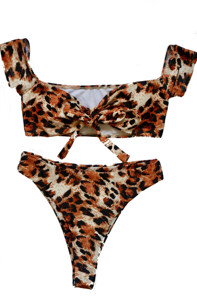 Animal Print Swimsuit PNG Image