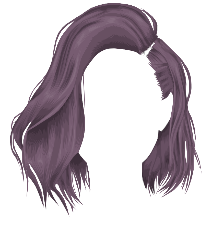 Anime Hair PNG Isolated File