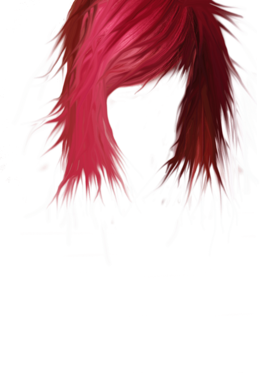 Anime Hair PNG Isolated Photo