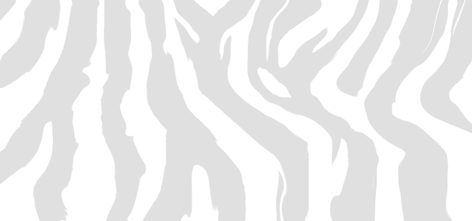 Zebra Print PNG Image