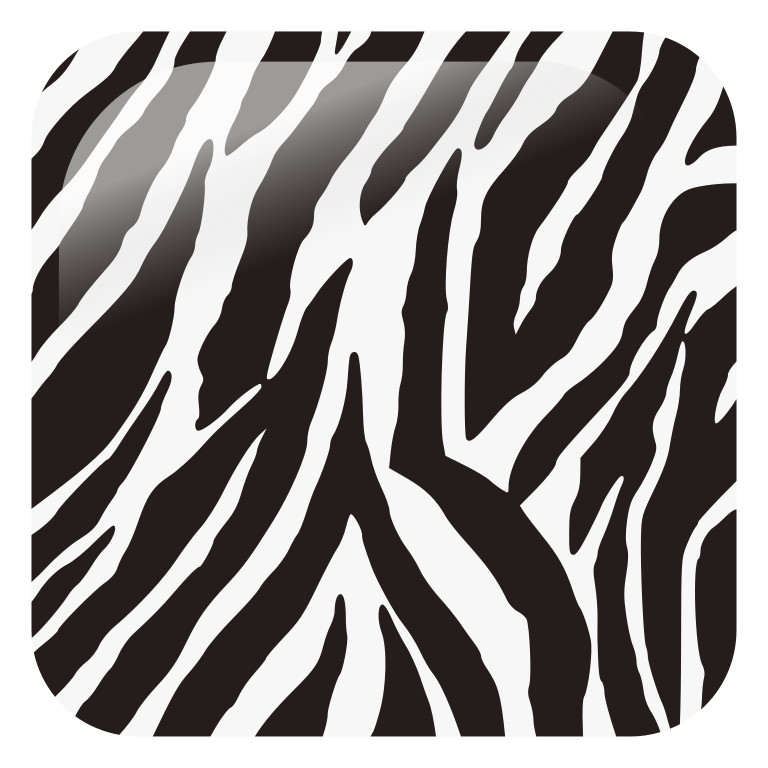 Zebra Print PNG Isolated Pic