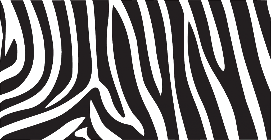 Zebra Print PNG Picture